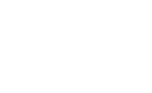 CAMPING VILLAGE